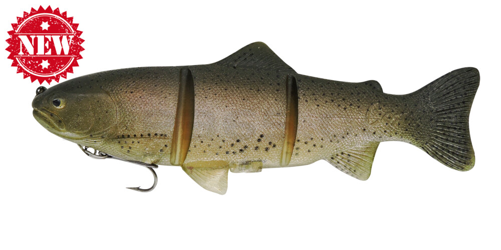 Castaic-Platinum 20,5 cm - Ghost Rainbow Trout im Hartschalenblister fast sinking