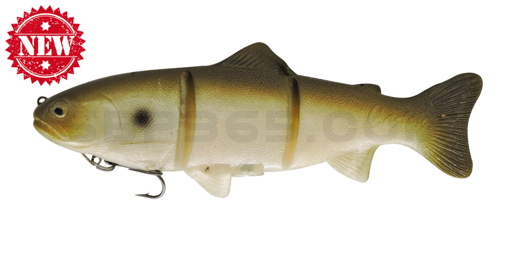 Castaic-Platinum 20,5 cm - Green Shad im Hartschalenblister fast sinking