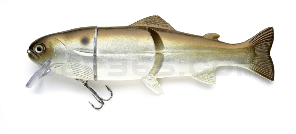 Castaic-Real-Bait - 6" (ca. 15cm) slow sinking Green Shad