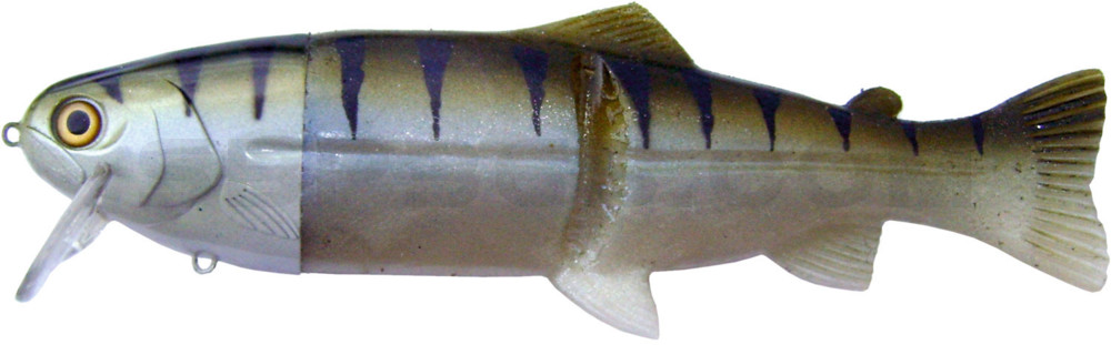 Castaic-Real-Bait - 6" (ca. 15cm) slow sinking Zander