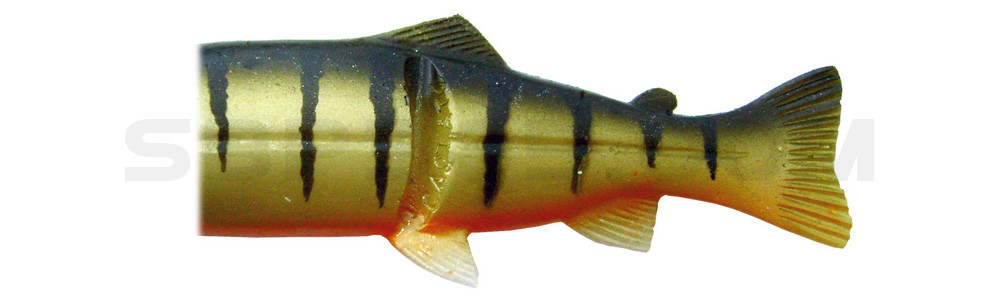 Ersatzkörper für Castaic-Real-Bait - 15cm Perch-orange