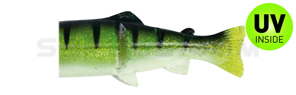 Ersatzkörper für Castaic-Real-Bait - 23cm Reno Perch White