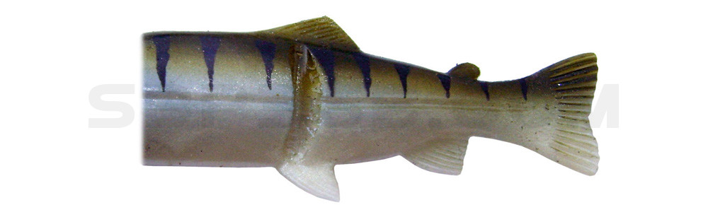 Ersatzkörper für Castaic-Real-Bait - 30,5cm Zander