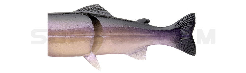 Ersatzkörper für Castaic-Real-Bait - 8" (20cm) Mad Shad