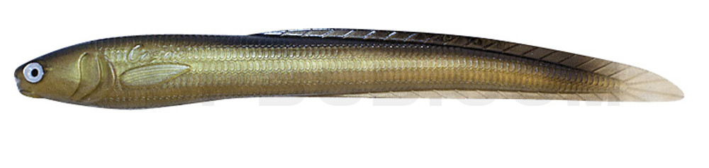 Jerky J EEL 7" (ca. 17,0 cm) Golden Shiner