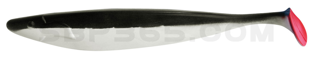 Megalodon 12" (ca. 30,0 cm) reinweiss / schwarz
