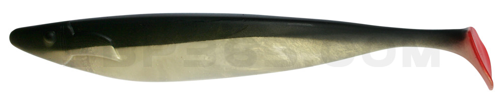 Megalodon 15" (ca. 40,0 cm) goldperl / schwarz