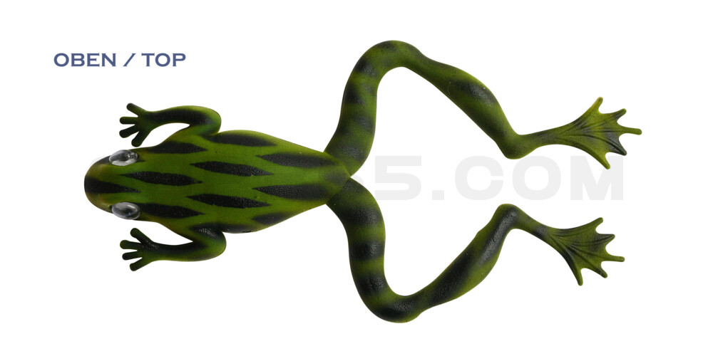 Nature Frog 5" (ca. 11,5 cm) Bauch:perlweiss,Rücken:dunkelgrün-schwarz gestreift