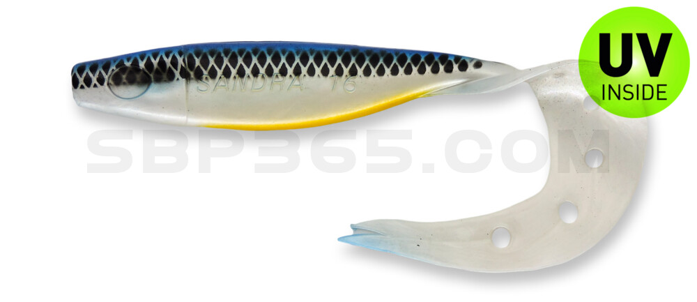 Sandra 3,5" (ca. 9 cm) perlweiss / blau / fluo Bauch / schwarz gestreift