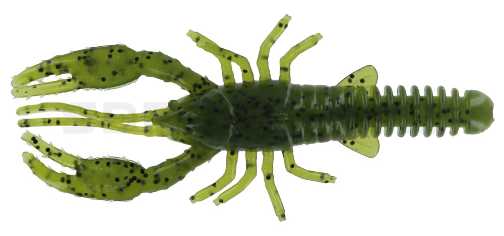 Baby Crawfish 3" (ca. 7 cm) Watermelon Seed