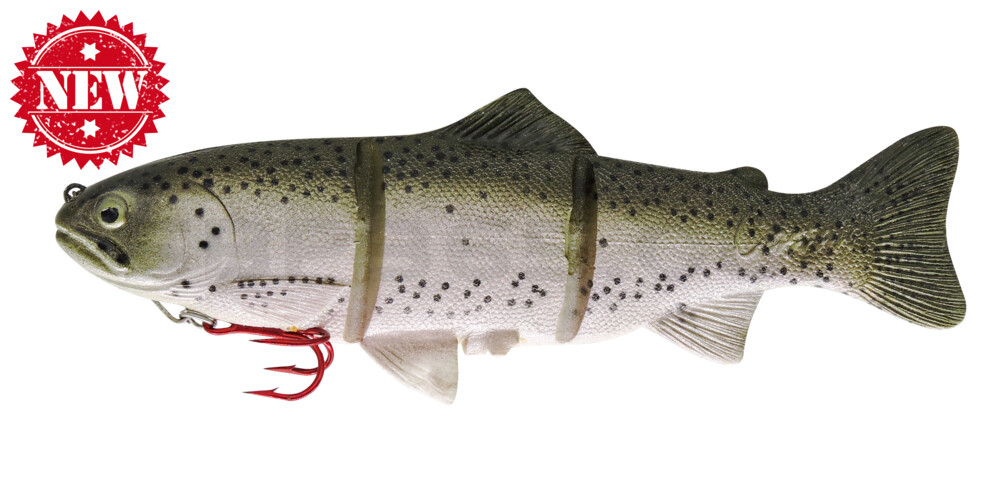 Castaic-Platinum 25,5cm - Rainbow Trout im Hartschalenblister fast sinking