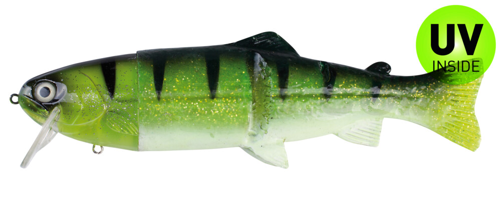 Castaic-Real-Bait - 12" (ca. 30,5cm) floater im Hartschalenblister Reno Perch White