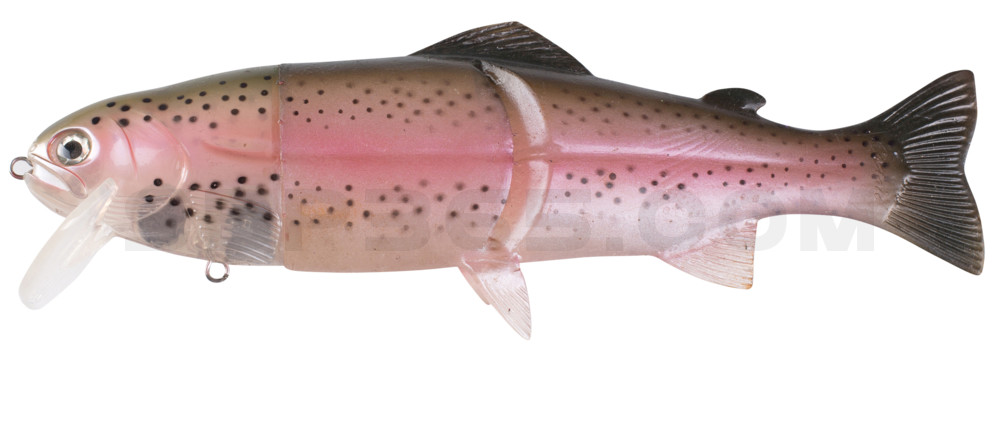 Castaic-Real-Bait - 12" (ca. 30,5cm) slow sinking im Hartschalenblister Ghost Rainbow-Trout