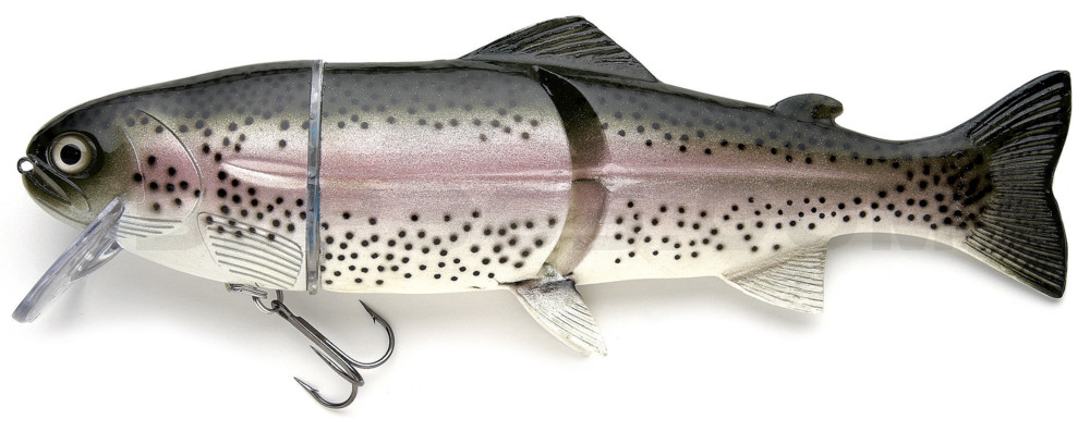 Castaic-Real-Bait - 12" (ca. 30,5cm) slow sinking im Hartschalenblister Rainbow-Trout