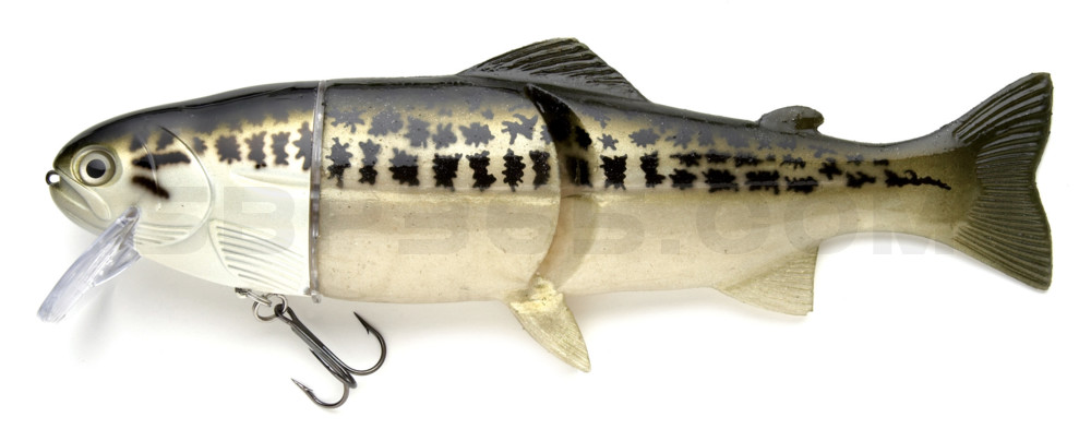 Castaic Real Bait - 6" (ca. 15cm) floater im Hartschalenblister Baby Bass