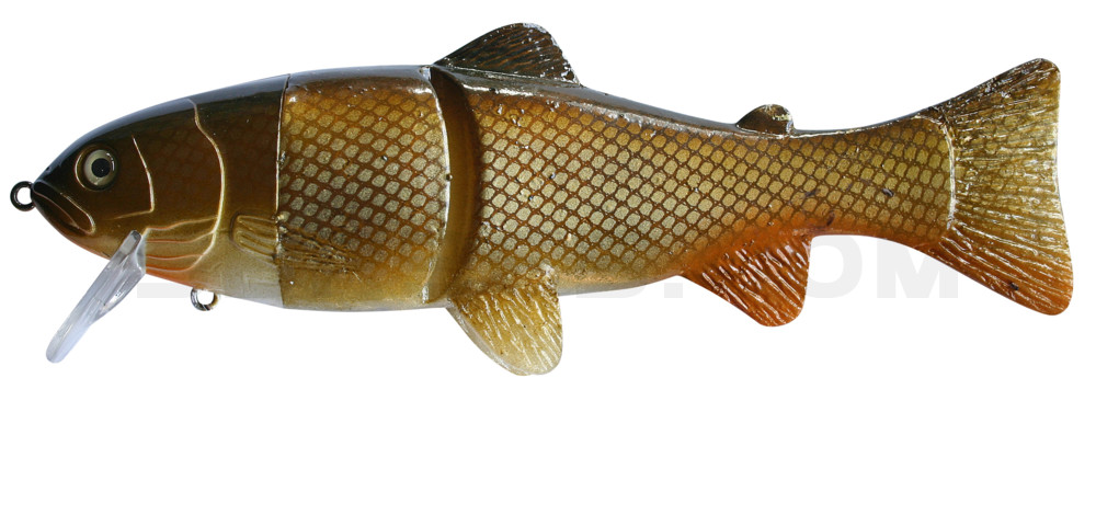 Castaic-Real-Bait - 6" (ca. 15cm) slow sinking Carp