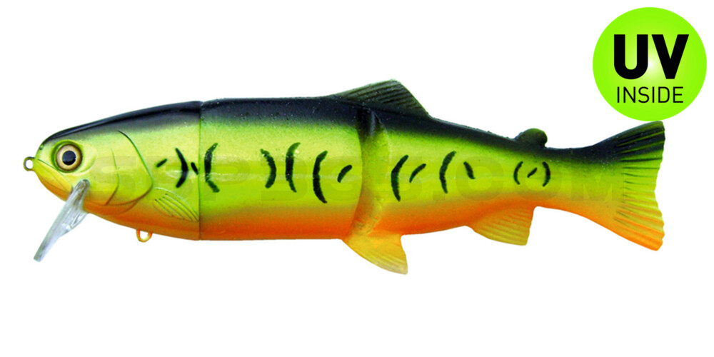Castaic-Real-Bait - 6" (ca. 15cm) slow sinking Firetiger