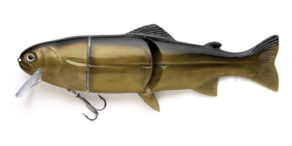 Castaic-Real-Bait - 6" (ca. 15cm) slow sinking Golden Shiner
