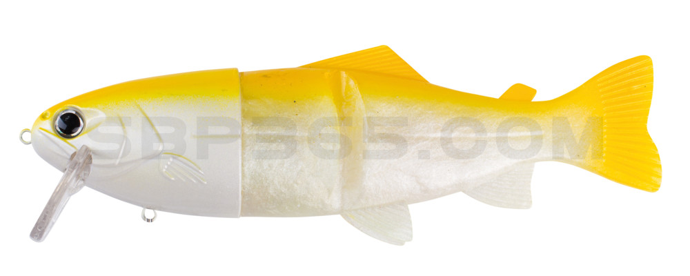 Castaic Real Bait 8"(20cm) im Hartschalenblister Lemon Shad - floating