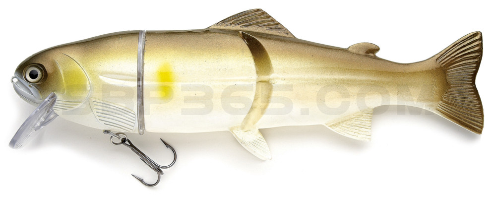 Castaic-Real-Bait - 9" (ca. 23cm) floater im Hartschalenblister AYU