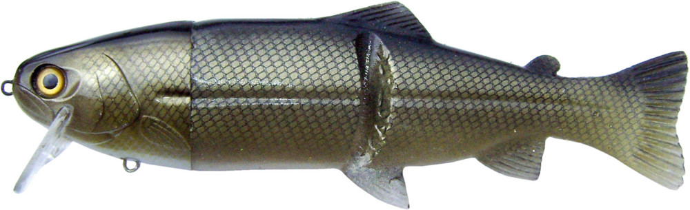 Castaic-Real-Bait - 9" (ca. 23cm) floater im Hartschalenblister Roach Gold