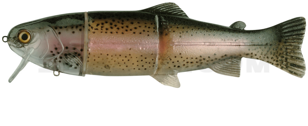 Castaic-Real-Bait - 9" (ca. 23cm) slow sinking im Hartschalenblister Ghost Rainbow-Trout