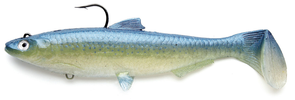 Castaic-Swim-Bait-Sardine-18cm-Dorado im Hartschalenblister sinking