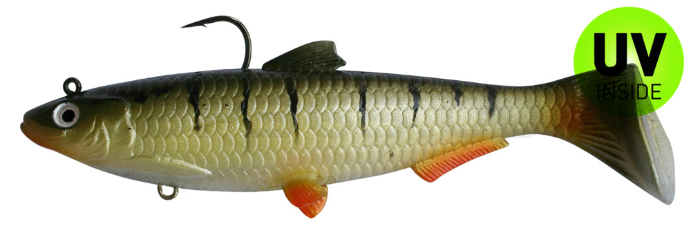 Castaic-Swim-Bait-Sardine-18cm-Perch im Hartschalenblister sinking