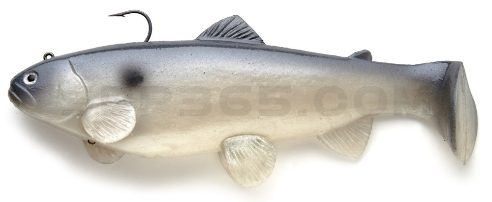 Castaic-Swim-Bait-Trout- 4" (ca. 10cm) sinking im Hartschalenblister Blue Shad