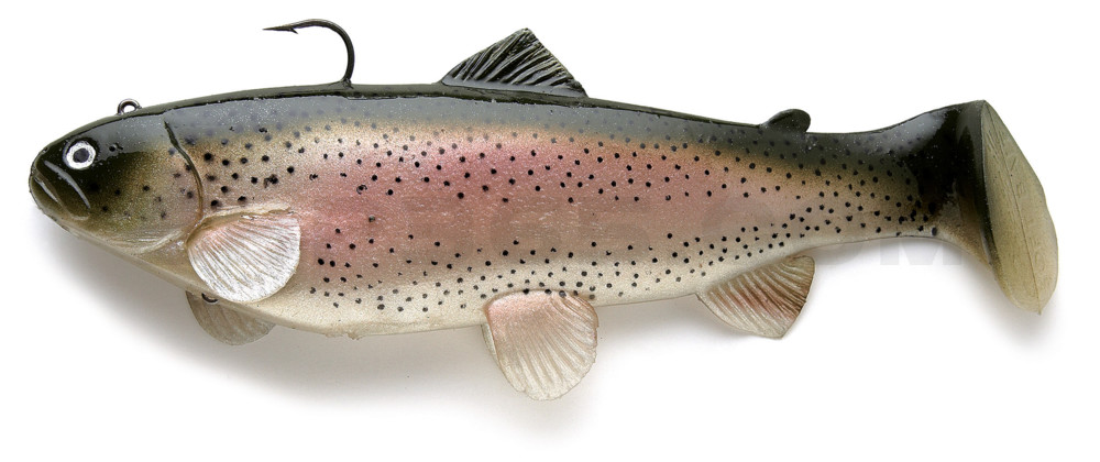 Castaic-Swim-Bait-Trout- 4" (ca. 10cm) sinking im Hartschalenblister Rainbow-Trout