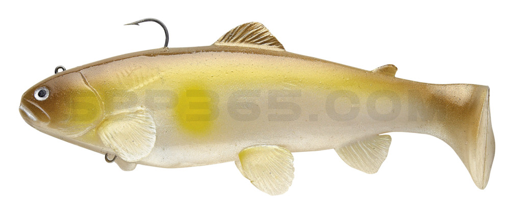 Castaic-Swim-Bait-Trout- 6" (15cm) sinking im Hartschalenblister AYU