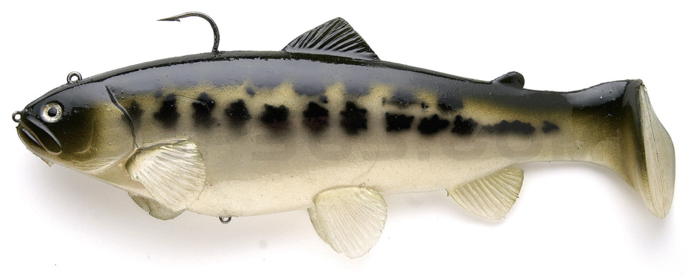 Castaic-Swim-Bait-Trout- 6" (15cm) sinking im Hartschalenblister Baby-Bass