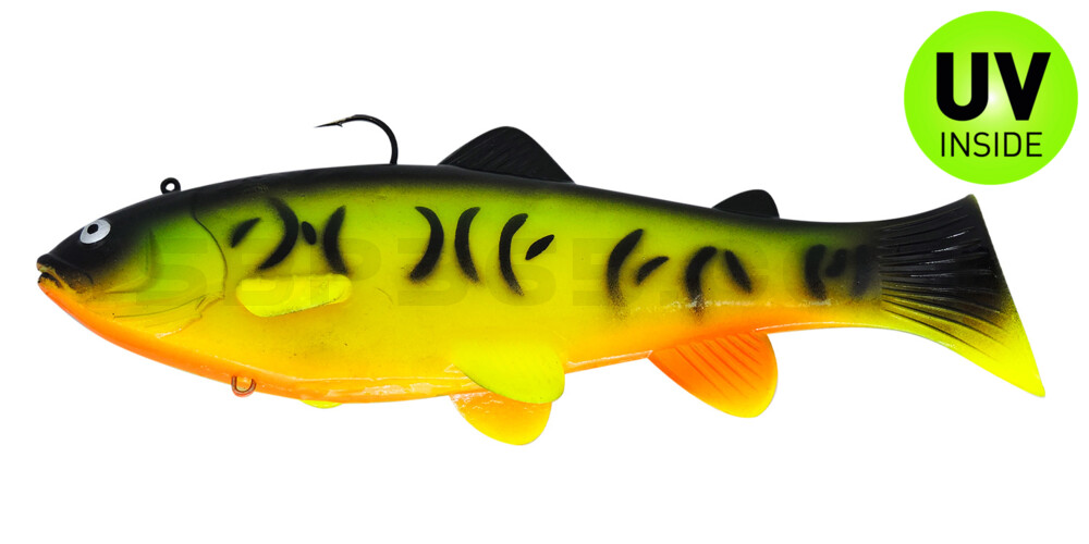 Castaic-Swim-Bait-Trout- 6" (15cm) sinking im Hartschalenblister Firetiger
