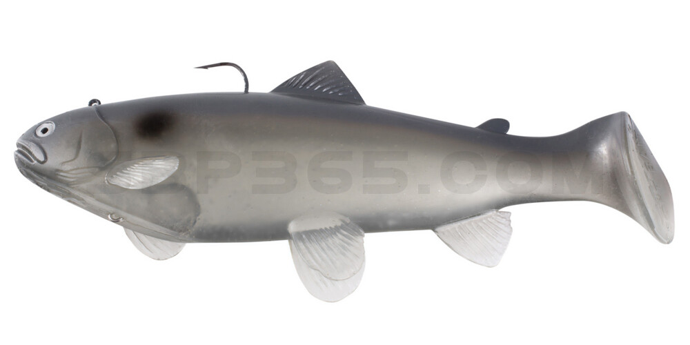 Castaic-Swim-Bait-Trout- 8" (20cm) sinking im Hartschalenblister Ghost Blue Shad