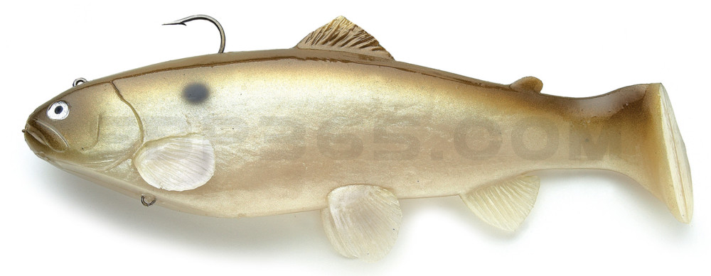 Castaic-Swim-Bait-Trout- 8" (20cm) sinking im Hartschalenblister Green Shad