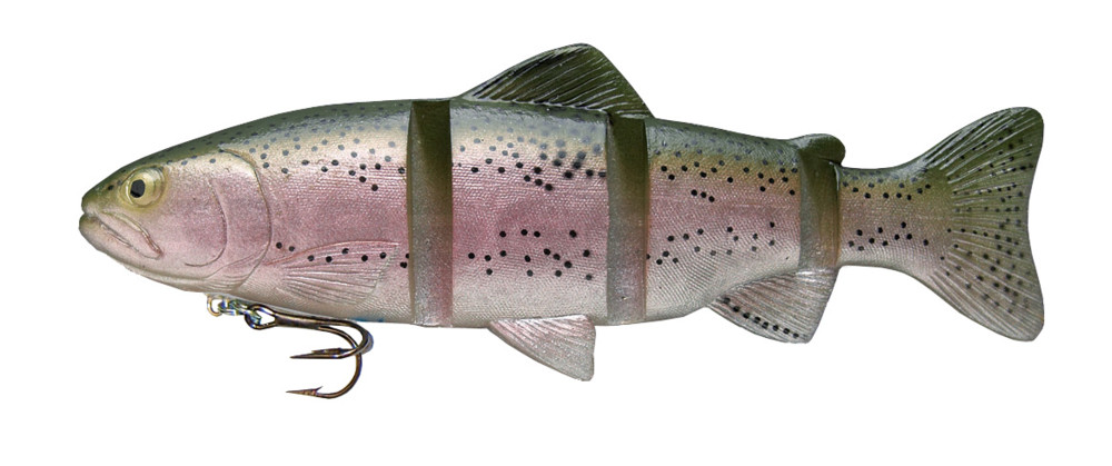 Catch 22 Series 8" slow sinking im Hartschalenblister Rainbow Trout
