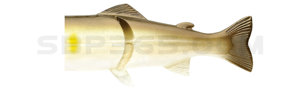 Ersatzkörper für Castaic-Real-Bait - 23cm AYU