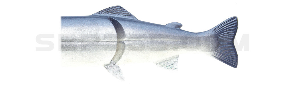 Ersatzkörper für Castaic-Real-Bait - 23cm Blue Shad