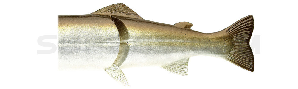 Ersatzkörper für Castaic-Real-Bait - 23cm Green Shad