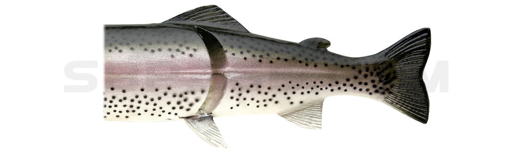 Ersatzkörper für Castaic-Real-Bait - 23cm Rainbow-Trout