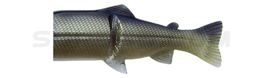 Ersatzkörper für Castaic-Real-Bait - 23cm Roach Gold