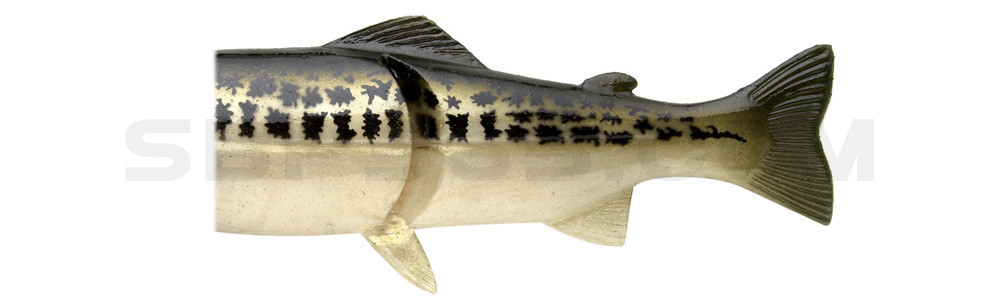 Ersatzkörper für Castaic-Real-Bait - 30,5cm Baby Bass
