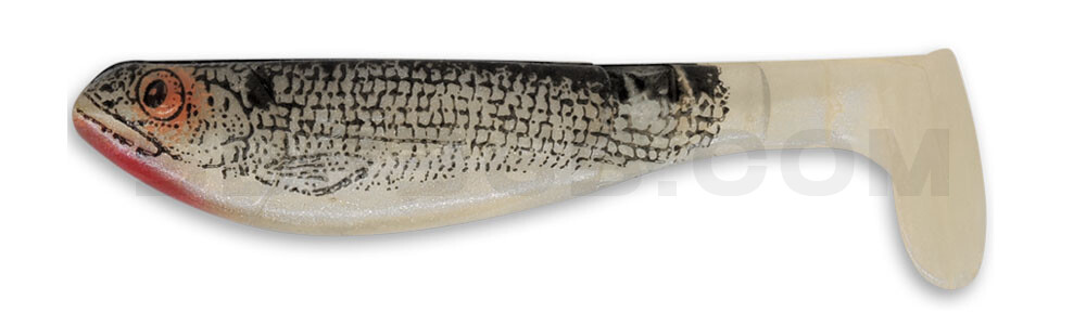 Kopyto-Nature 2,5" (ca.7,0 cm) perlweiss / Weißfisch