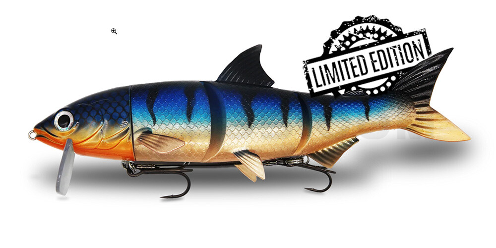 RenkyOne - Hybrid Fishing Lure 10" (ca. 25cm) slow sinking im Hartschalenblister Sundown Stripez