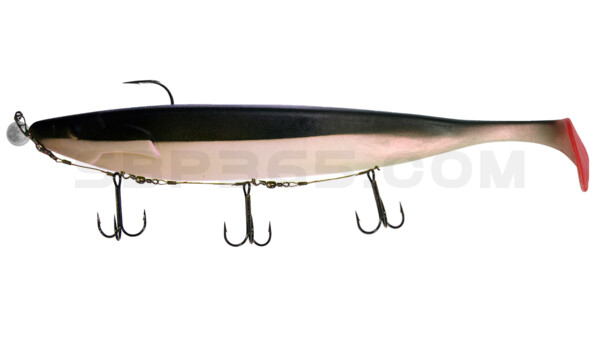 Megalodon 12