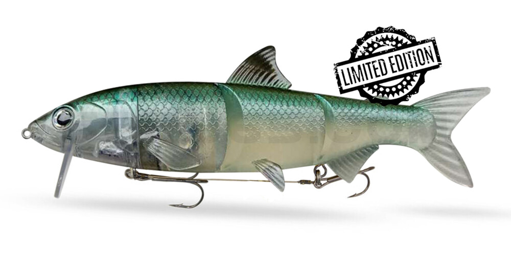 RenkyOne - Hybrid Fishing Lure 10