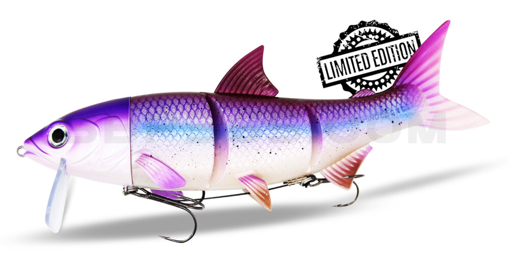 RenkyOne - Hybrid Fishing Lure 12