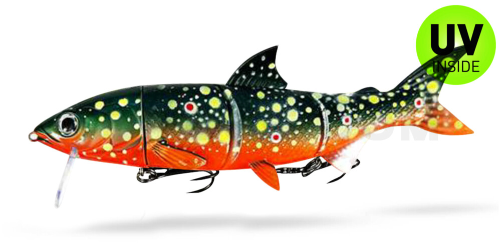 RenkyOne - Hybrid Fishing Lure 10