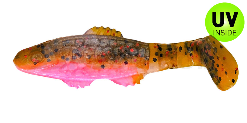 Killer Shad 3